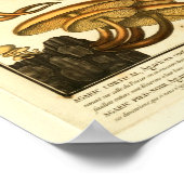  paddenstoelenvariëteiten Franse kunst Poster (Hoek)