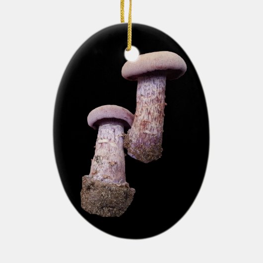 Paddenstoelenversier Keramisch Ornament (Achterkant)
