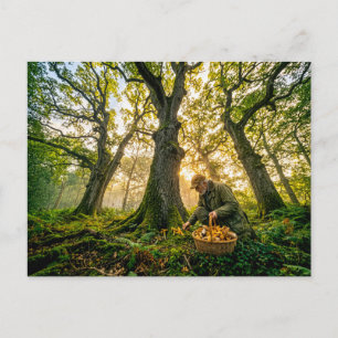 Paddenstoelenzoeker onder oude eikenbomen briefkaart