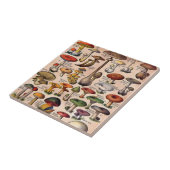  paddenstoelgids tegeltje (Zijkant)