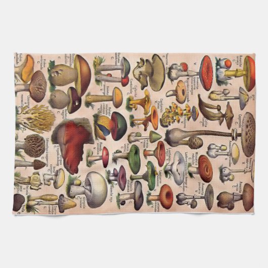  paddenstoelgids theedoek (Horizontaal)