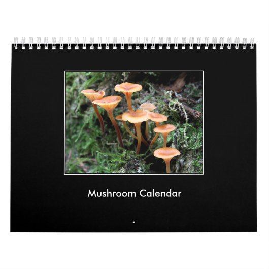 paddenstoelkalender kalender (Hoes)