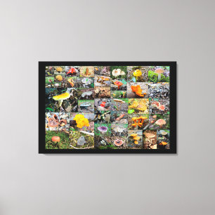 Paddenstoelplant — Montgomery County PA Canvas Afdruk