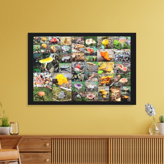 Paddenstoelplant — Montgomery County PA Canvas Afdruk (Insitu (Woonkamer))