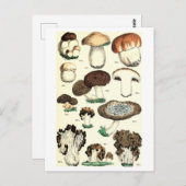 Paddestoel Botanisch Briefkaart (Voorkant / Achterkant)