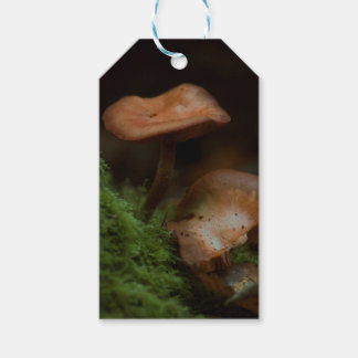 Paddestoel cadeau labels cadeaulabel