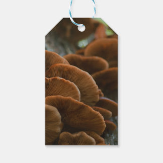 Paddestoel cadeau labels cadeaulabel
