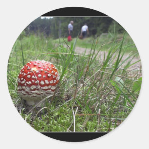 Paddestoel in het gras ronde sticker