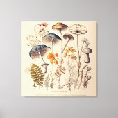  Paddestoel Naturalist Canvas Afdruk (Voorkant)