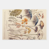  Paddestoel Naturalist Inpakpapier Vel (Voorkant 2)