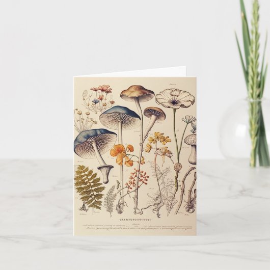 Paddestoel Naturalist Kaart (Voorkant)