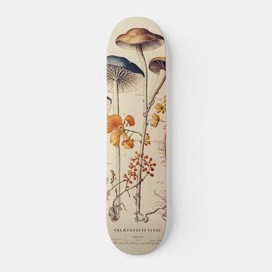  Paddestoel Naturalist Skateboard (Voorkant)