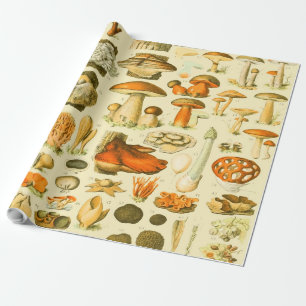 Paddestoel  paddestoel Antiek illustratie Cadeaupapier