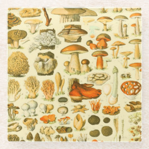 Paddestoel  paddestoel Antiek illustratie Glazen Onderzetter