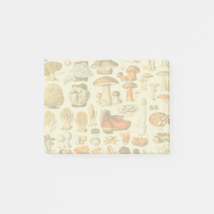 Paddestoel  paddestoel Antiek illustratie Post-it® Notes