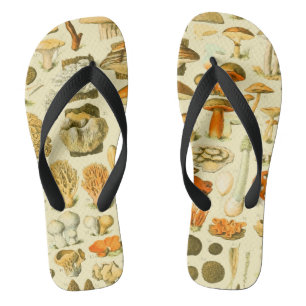 Paddestoel paddestoel Antiek illustratie Teenslippers