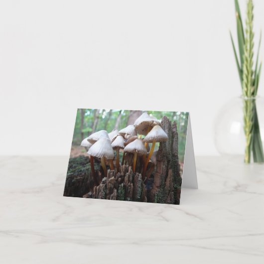 Paddestoelen op een Oude Stomp Notecard Kaart (Voorkant)