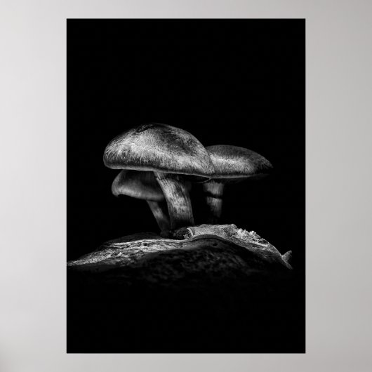 Paddestoelen op een pad nr. 3 poster (Voorkant)