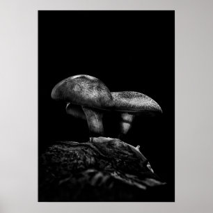 Paddestoelen op een pad nr. 5 poster