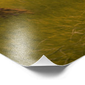 Paddock Personalized Foto Afdruk (Hoek)