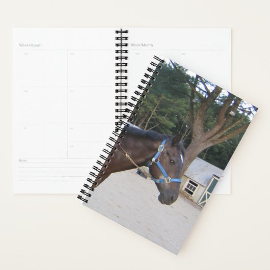 Paddock Stable Paddock Planner (Display)