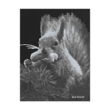 Paddy Cake, Eekhoorn