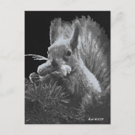 Paddy Cake, Eekhoorn Briefkaart