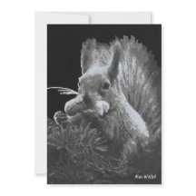 Paddy Cake, Eekhoorn