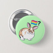 Paddy Pride Badge (Pansexual) Ronde Button 5,7 Cm (Voorkant /achterkant)