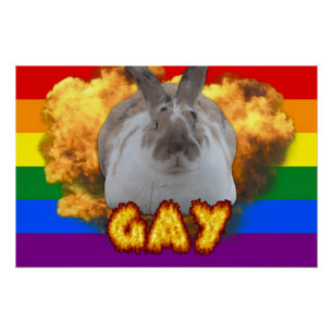 Paddy Pride Poster (LGBT paraplu) Perfect Poster