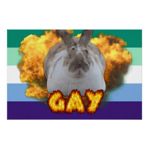 Paddy Pride Poster (MLM) Perfect Poster