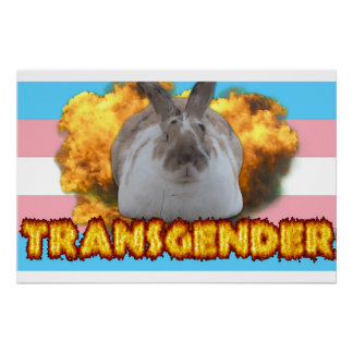Paddy Pride Poster (Transgender) Perfect Poster
