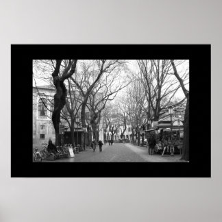 Padova, Italië Poster