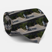 Padre Pio Stropdas (Opgerold)