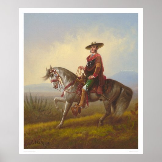 Padron (1163) poster (Voorkant)