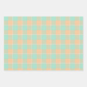 Padua Green and Corvette Peach Plaid Inpakpapier Vel (Voorkant)