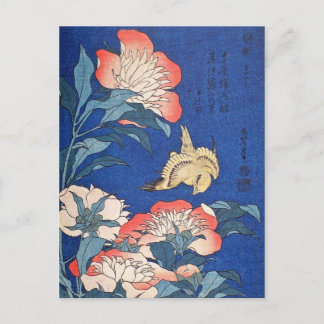 Paeonia Lactiflora en de Canarische Eilanden (Hoku Briefkaart