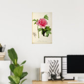 Paeonia Moutan, c.1799 Poster (Thuiskantoor)