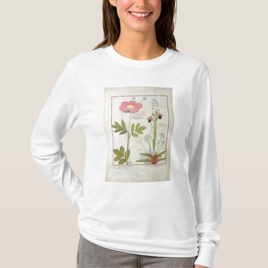 Paeonia of Peony en Orchis myanthos T-shirt (Voorkant)