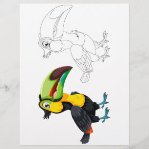 page de coloration des oiseaux toucan
