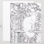 Page de coloriage - Chat sur une clôture (Devant / Derrière)