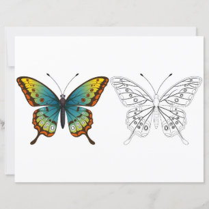 Page de coloriage de papillon de dessin animé mign
