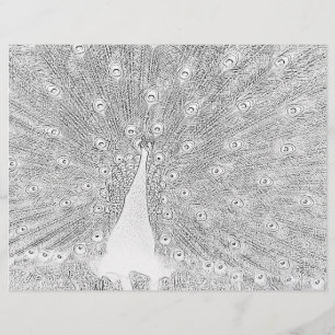 Page de coloriage - Peacock avec Queue