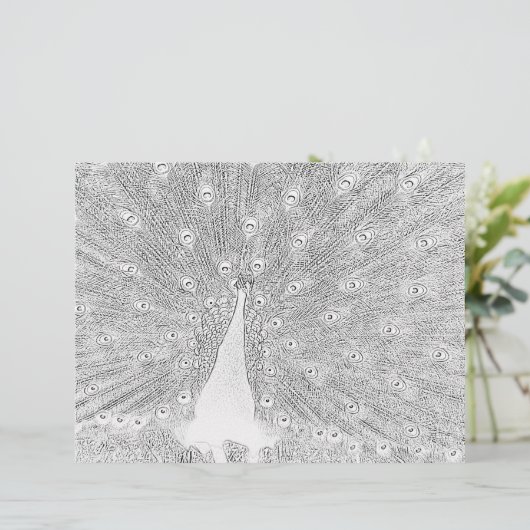 Page de coloriage - Peacock avec Queue (Debout devant)