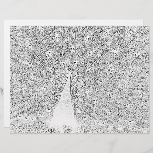 Page de coloriage - Peacock avec Queue (Devant / Derrière)