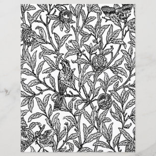 Page de coloriage pour adultes, Morris Bird & Pome