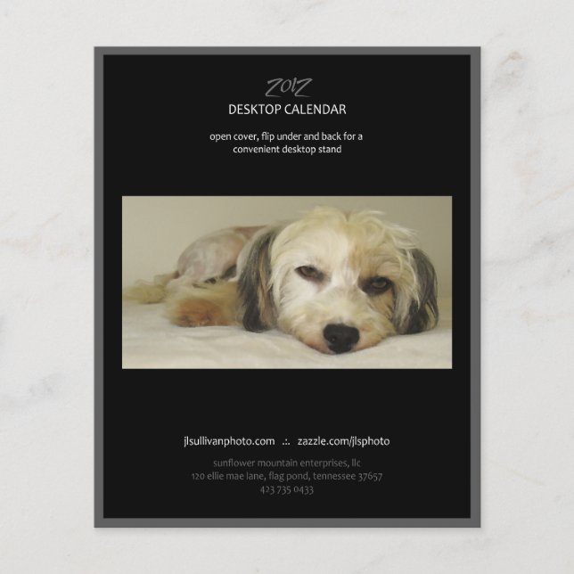 Page de couverture du calendrier 2012 (Devant)