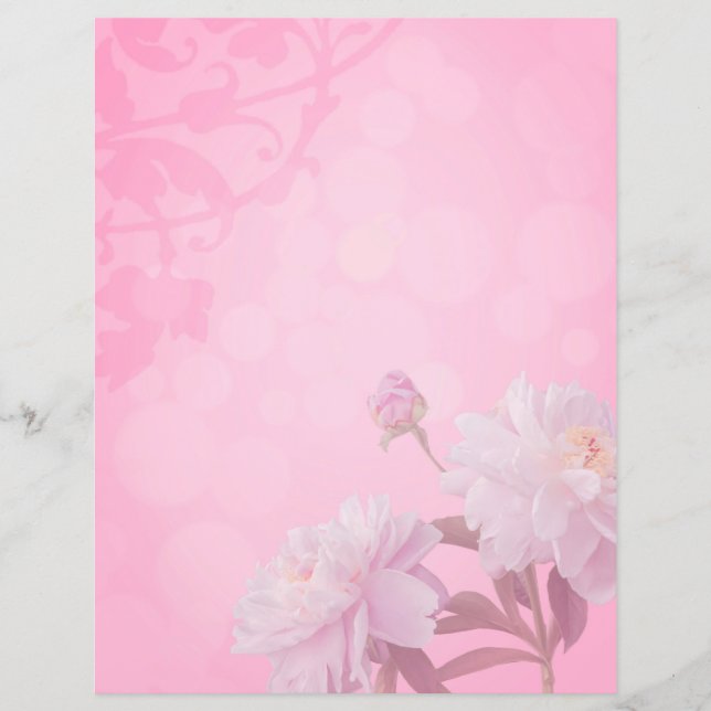 Page du carnet de documents du journal rose (Devant)