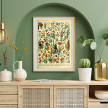 Page du livre Fleurs sauvages posters vintage