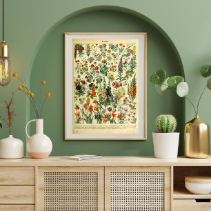 Page du livre Fleurs sauvages posters vintage